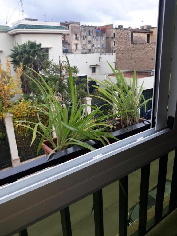 Amor Hotel Fez Eksteriør billede